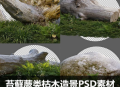 苔藓蕨类枯木造景PSD素材合集乔木木桩后期植物
