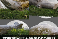 苔藓蕨类枯木造景PSD素材合集乔木木桩后期植物