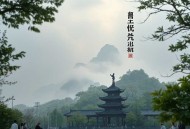 人性真相商战权谋鼻祖之作：圈子圈套 _商圈《三国演义》_王强著纪涵邦播讲 谋略权利 职场生存