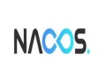 Nacos 核心原理解读+高性能微服务系统实战