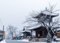 金蚕往事：原名苗疆蛊事（14册大合集）_ 青雪播讲巫蛊小说