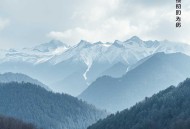 一笑随歌丨雪月之下丨古言权谋丨李沁丨陈哲远丨影视