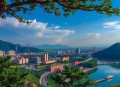 武炼巅峰-少年绝地求生-武道大圣