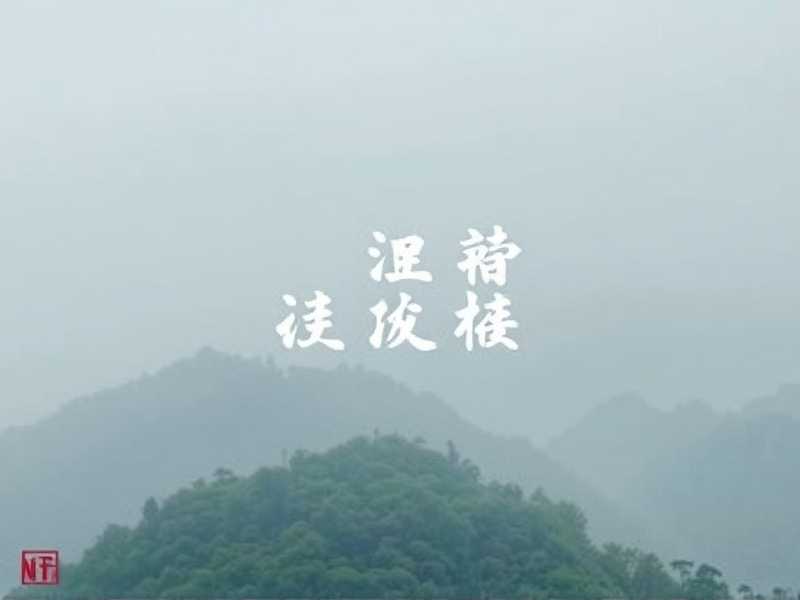 绝命剧本杀_最嚣张的罪犯_悬疑推理侦破_多人有声剧