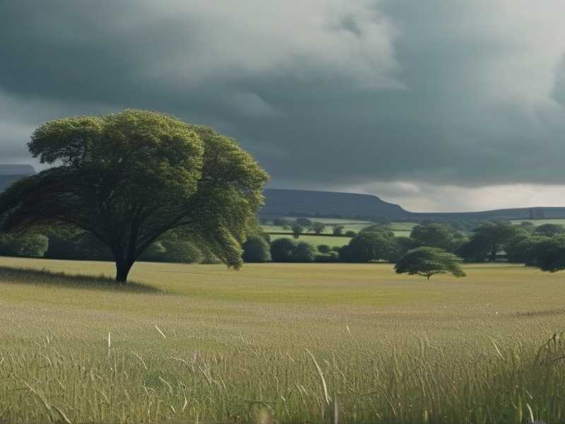 bbc纪录片合集字母分类--B